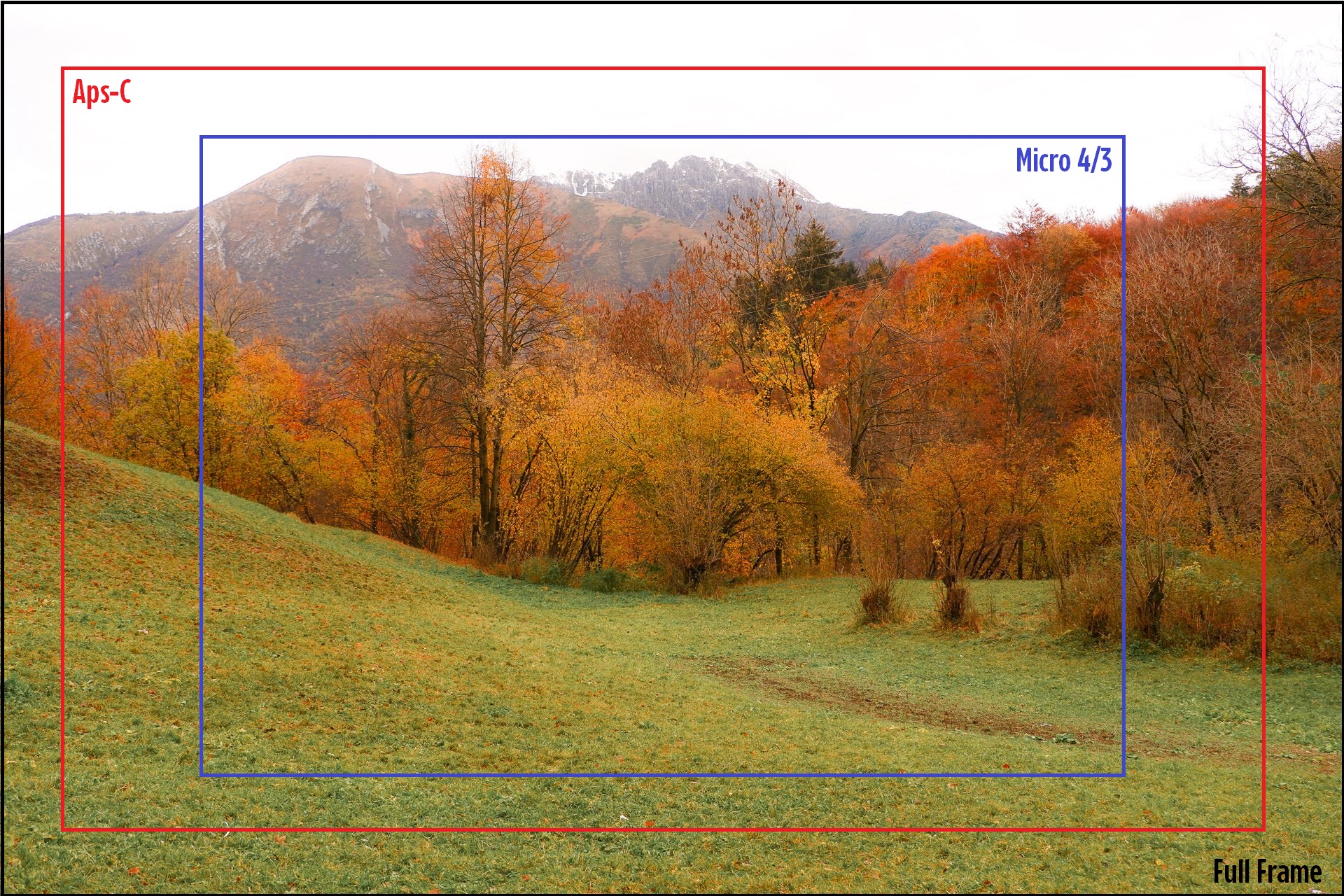 Simulazione di Crop con diversi sensori