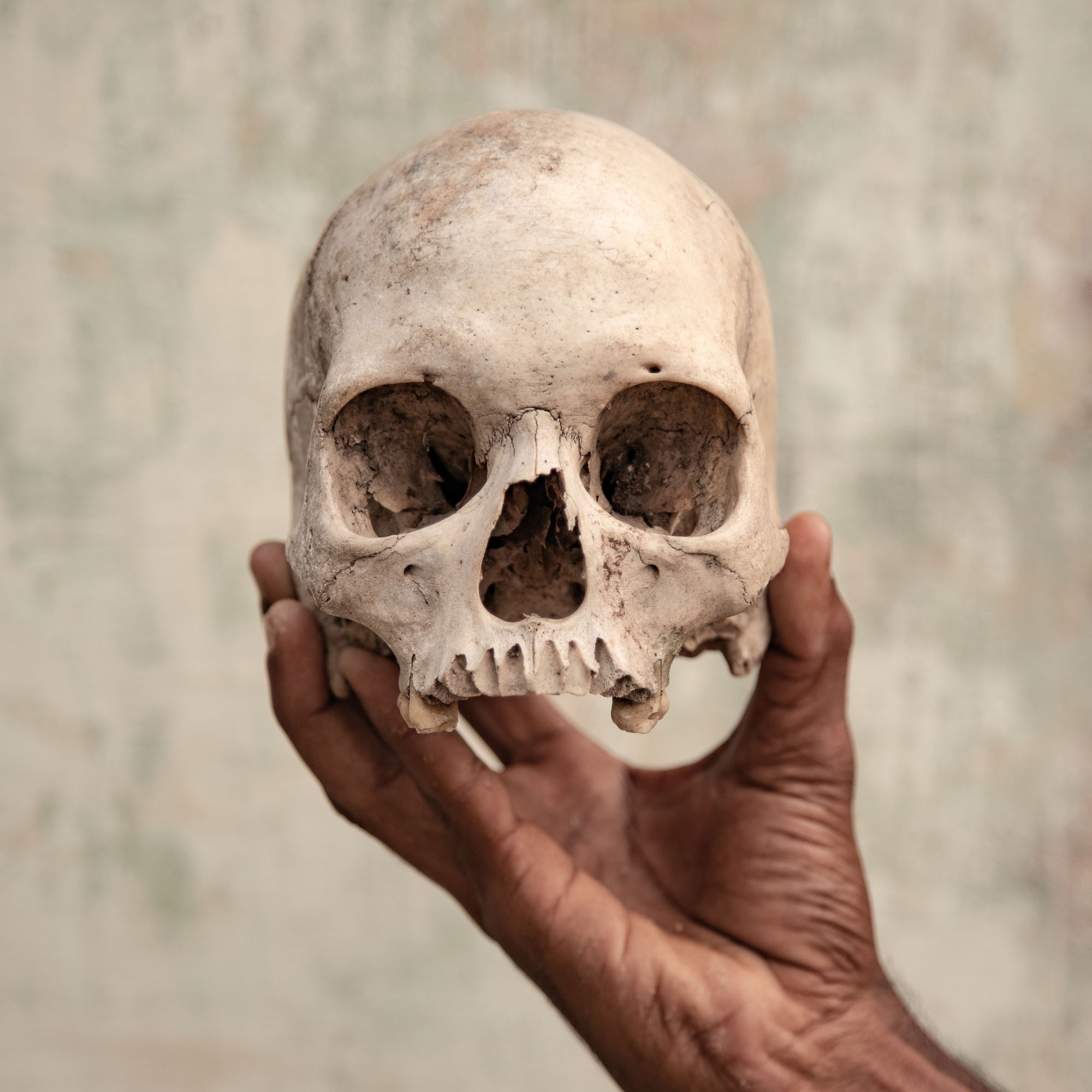 Five Degrees - Federico Borella (2019)