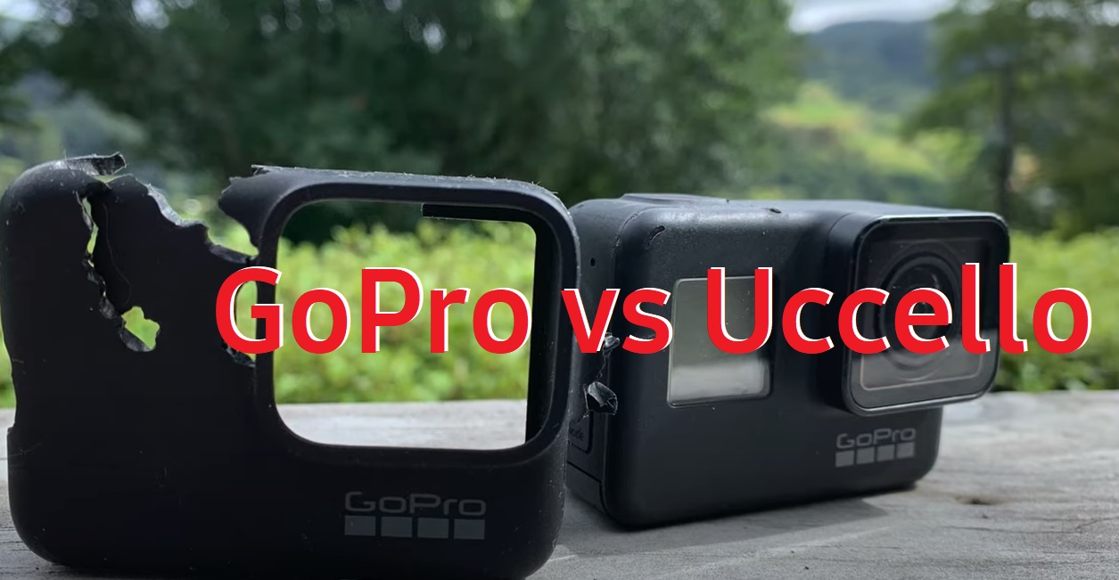 Foto tratta da un video di Alex Verheul