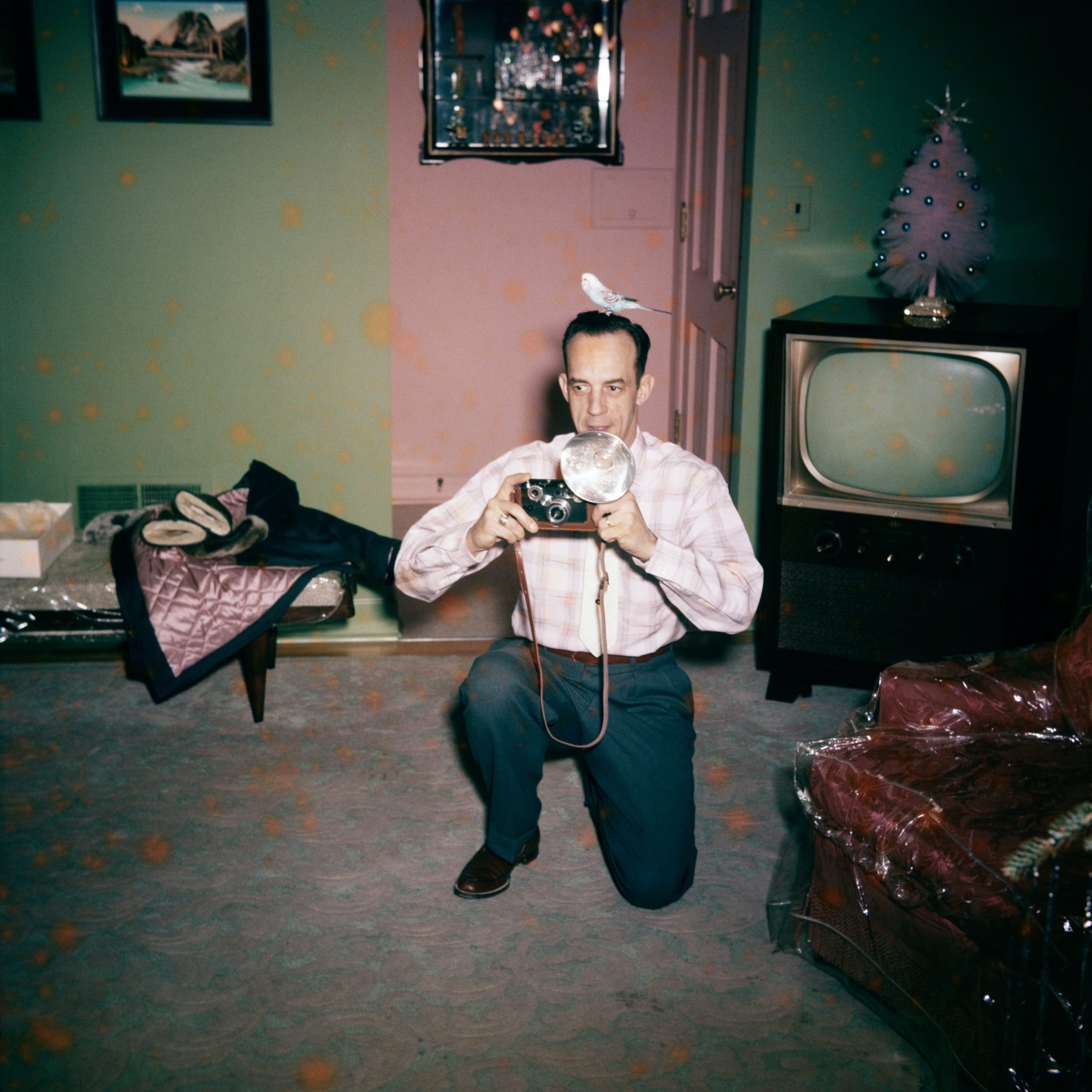 COTM Award 2022- © THE ANONYMOUS PROJECTLEE - SHULMAN