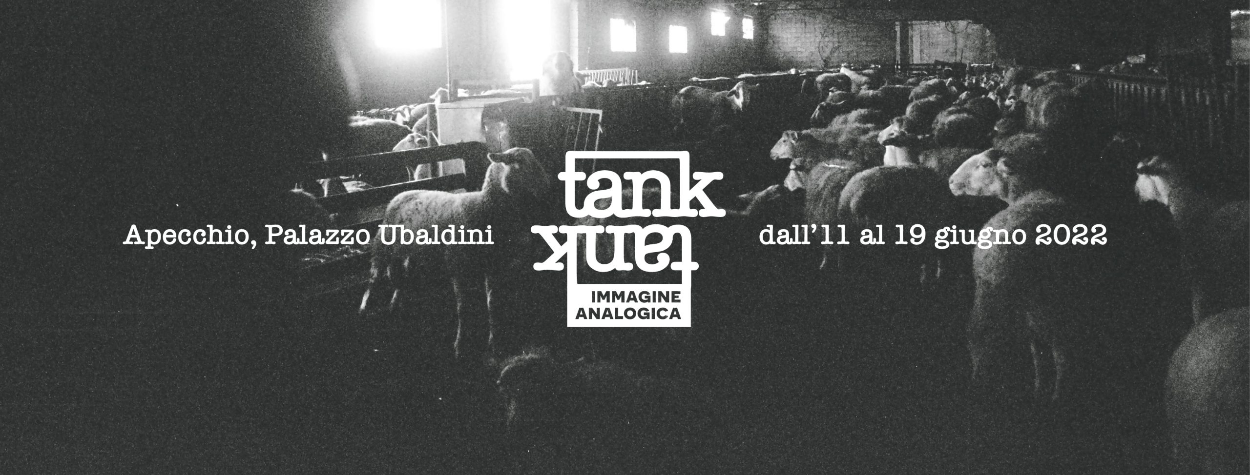 Festival Tank • Immagine Analogica