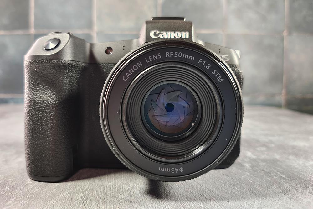 Canon EOS R + Canon RF 50mm f/1.8 STM