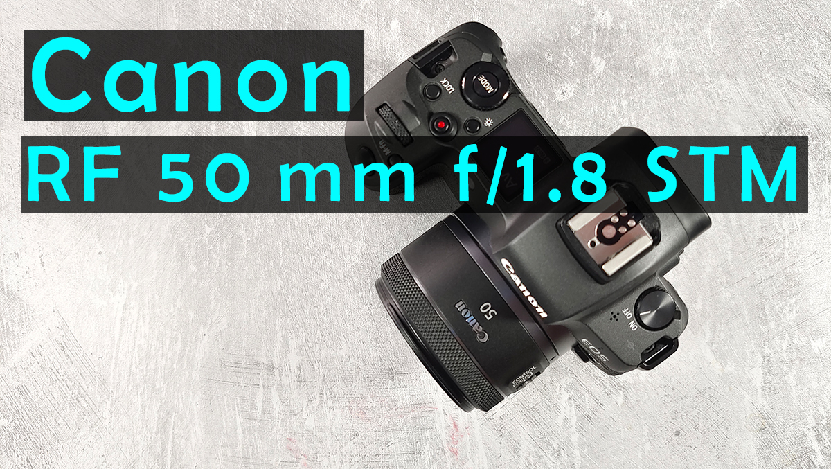 Canon EOS R + Canon RF 50mm f/1.8 STM