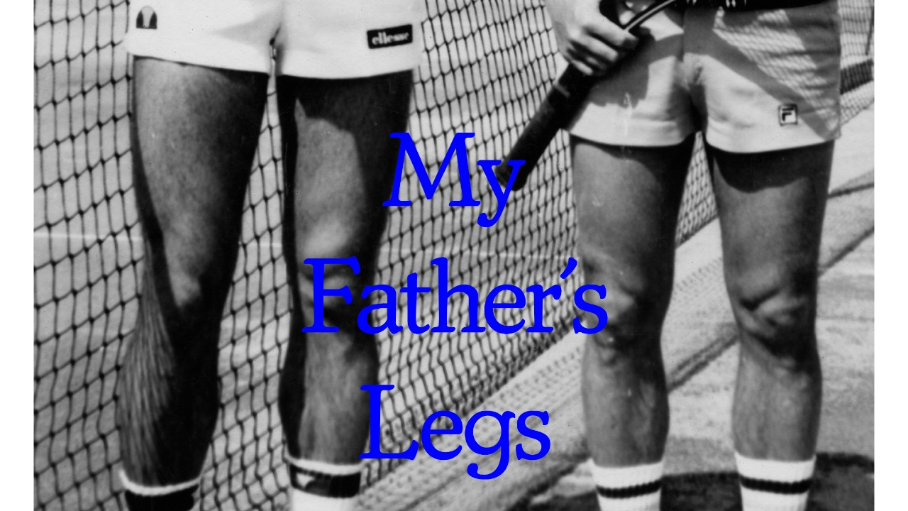 Sara Perovic - My father's Legs