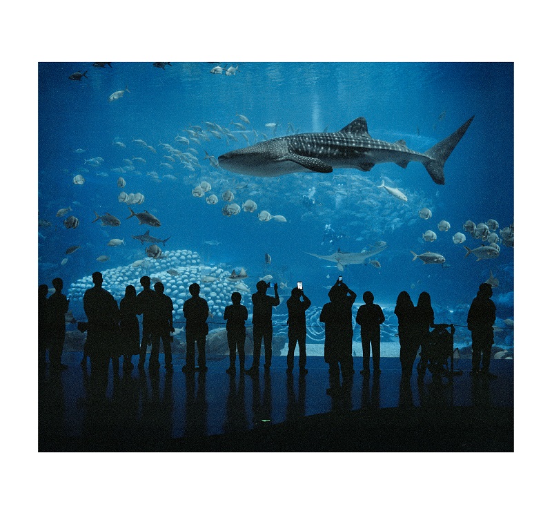 (C) Zed Nelson - The Anthropocene Illusion