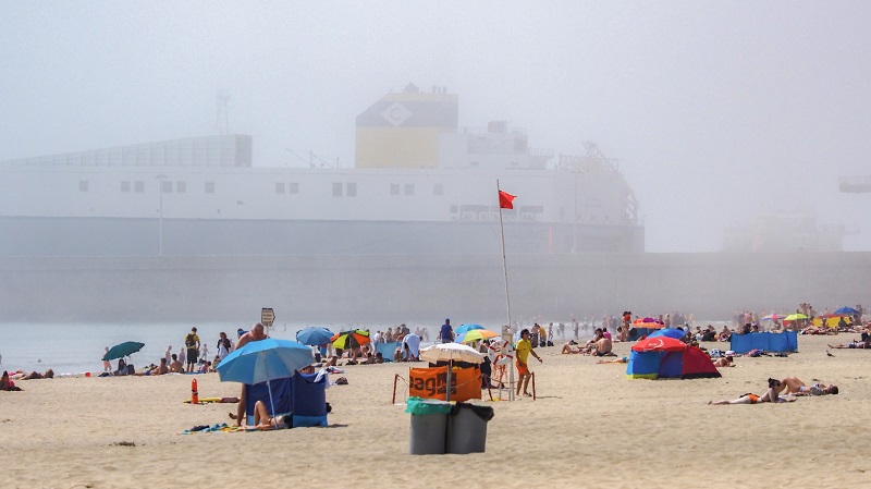 (C) Alice Arcando - Red Flag